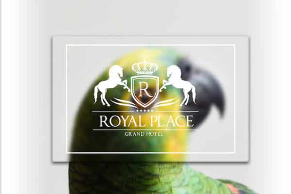 Clear Plastic Business Cards