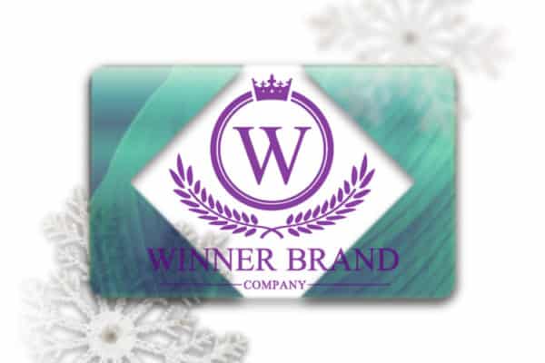 Frosted Plastic Business Cards